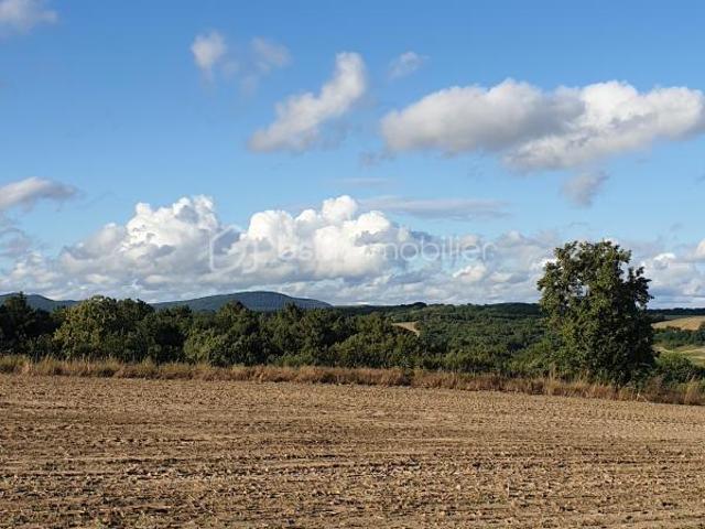 Terrain constructible et viabilisé de 2061 m2 proche Montdurausse