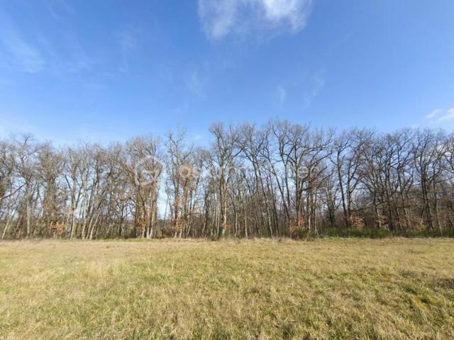 TERRAIN CONSTRUCTIBLE ET VIABILISE DE 815 M2