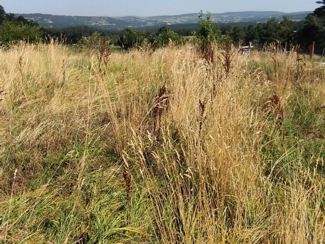 Terrain constructible Malzieu Ville