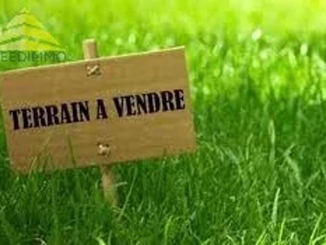 TERRAIN CONSTRUCTIBLE Mandres les roses