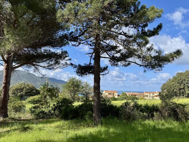 Terrain constructible Masorchia