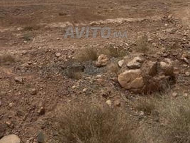 Terrain constructible non titré