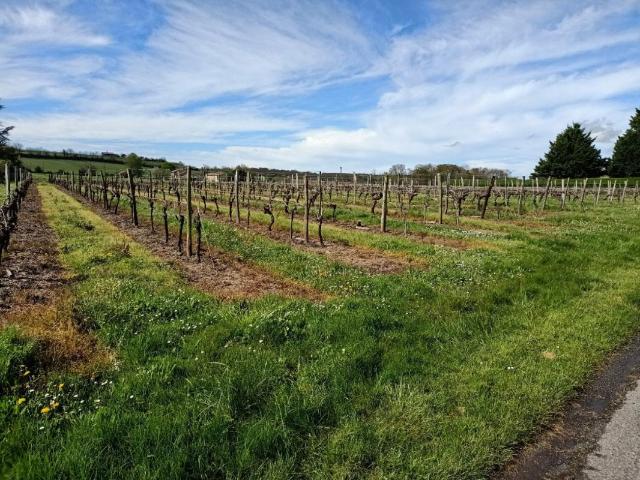Terrain constructible non viabilisé 9069 m2 proche Estuaire