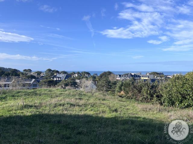TERRAIN CONSTRUCTIBLE SABLES D'OR LES PINS