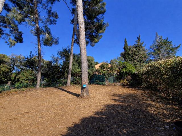 Terrain constructible six fours proche Brusc