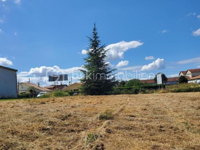 Terrain constructible pour projet professionnel ou maison individuelle