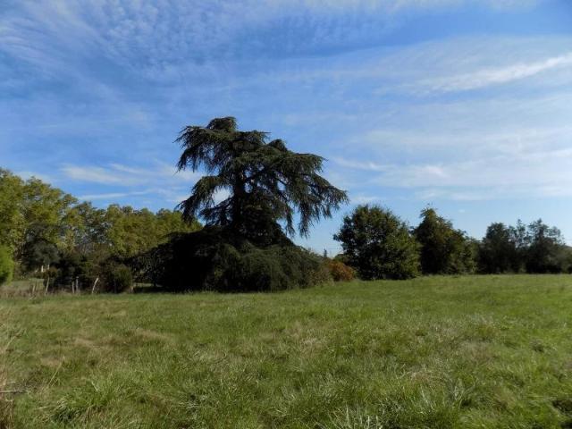 Terrain constructible proche Mirande