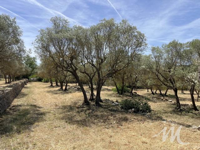 TERRAIN CONSTRUCTIBLE VIABILISE A VENDRE VARAGES