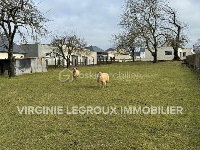 Terrain constructible viabilisé de 1049m2