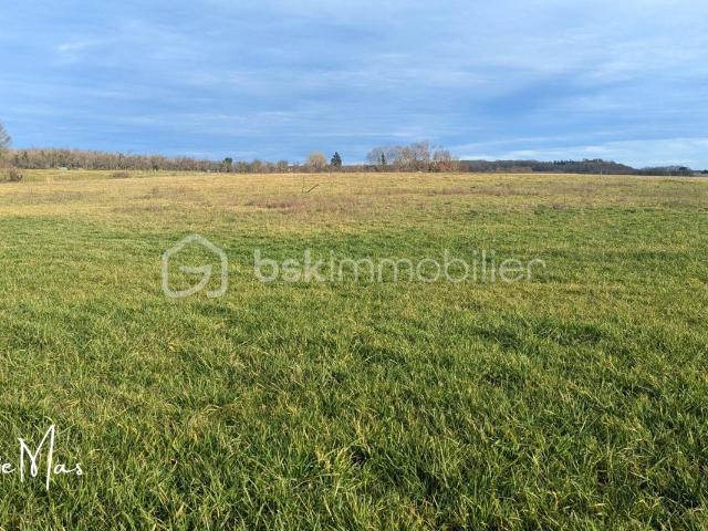 Terrain constructible viabilisé