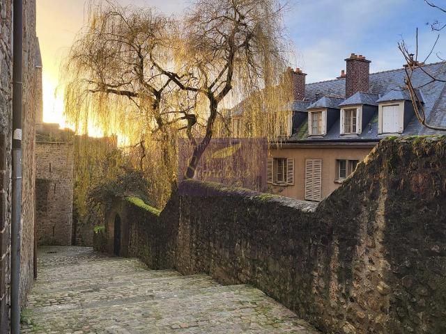 TERRAIN CONSTRUCTIBLE VIEUX MANS