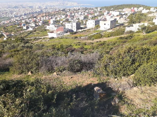 Terrain constructible villas