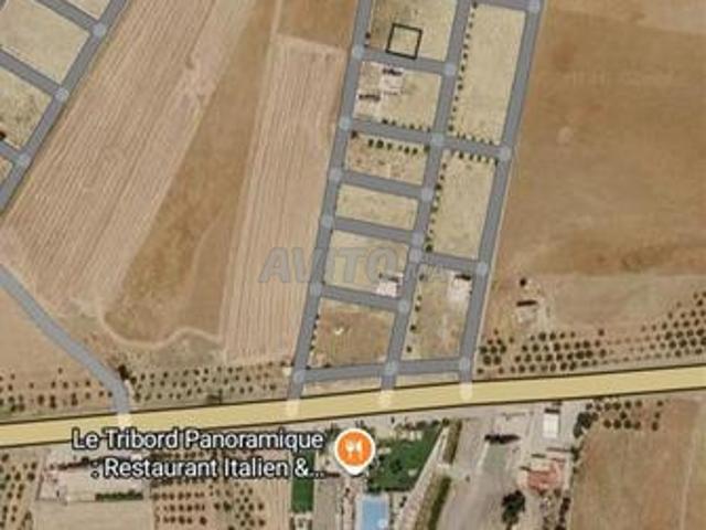 Terrain conservé et constructible pour villa à Taza 225m²