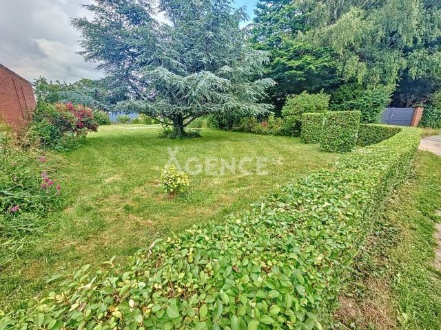 Terrain contructible