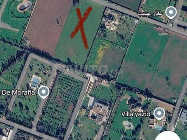 Terrain D7 Labissa pour villa de 1000 m²