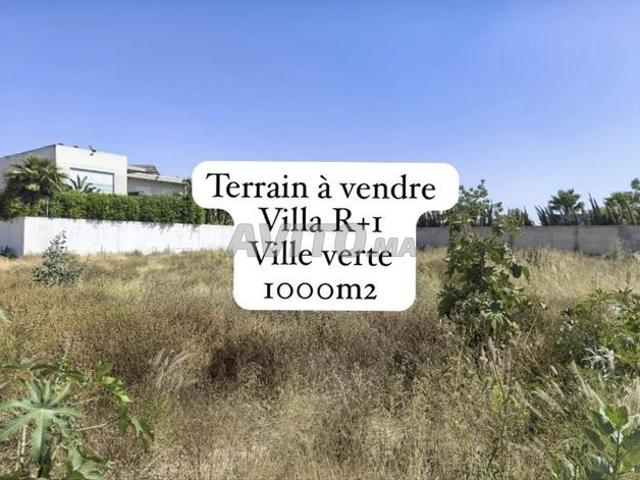 Terrain d’exception de 1 000 m² à vendre