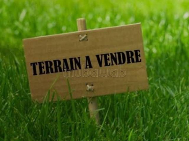 Terrain d’Exception – 1 Hectare à Targa