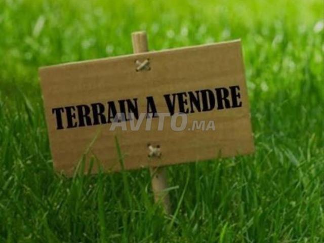 Terrain d’Exception – 1 Hectare à Targa