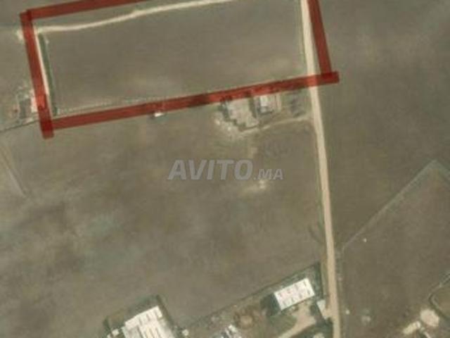 Terrain d’un hectare près de Mediouna