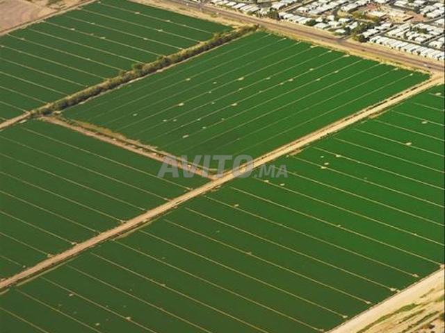 Terrain de luxe route de rabat 18 hectares