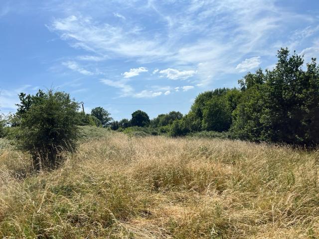 TERRAIN DE LOISIR
