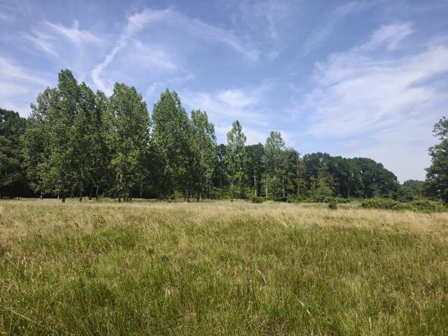 TERRAIN DE LOISIR