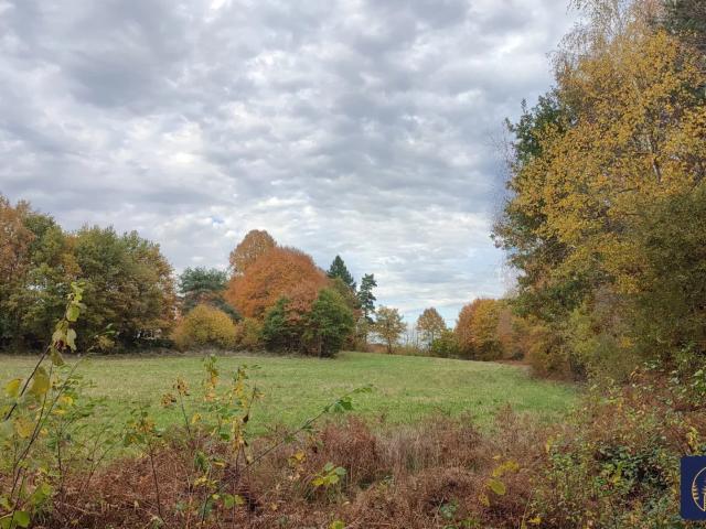 Terrain de loisir en bord de Lac