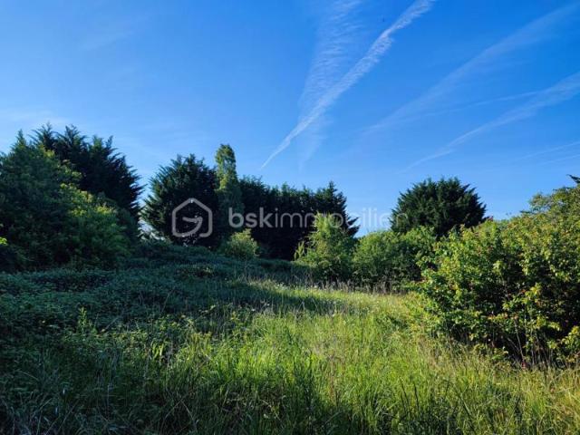 Terrain de loisir et arbres fruitiers de 5088 m² avec une belle vue