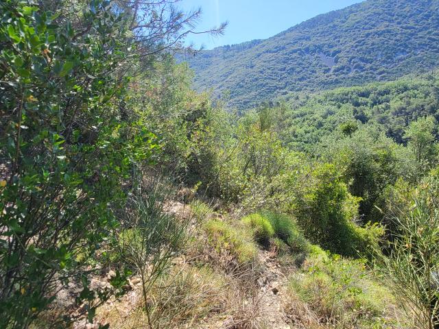 Terrain de loisir non constructible Peille 6.600m2