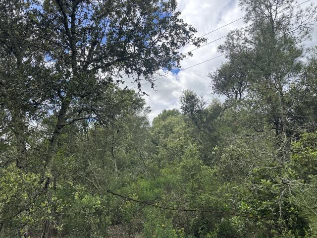 TERRAIN DE LOISIRS 1520M2