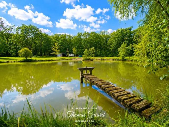 Terrain de loisirs 19 969 m² avec étang de pêche à Mur de Sologne