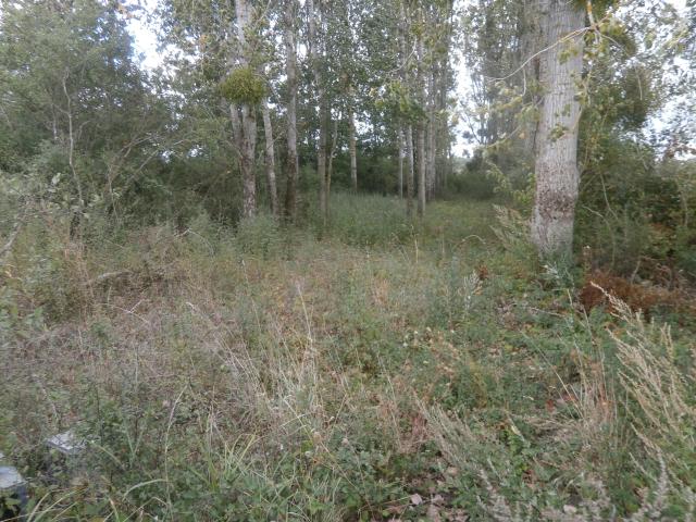 TERRAIN DE LOISIRS 2370 M2 EN PARTIE BOISEE DE PEUPLIERS