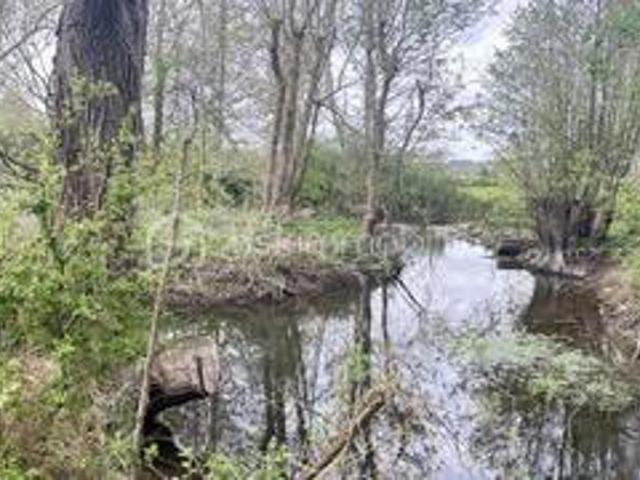 Terrain de loisirs