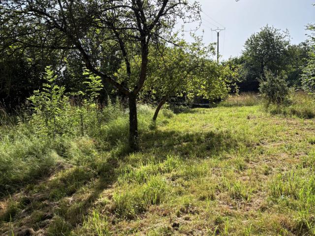 TERRAIN DE LOISIRS
