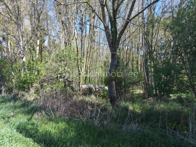 Terrain de Loisirs Arboré en Zone Naturelle Protégé