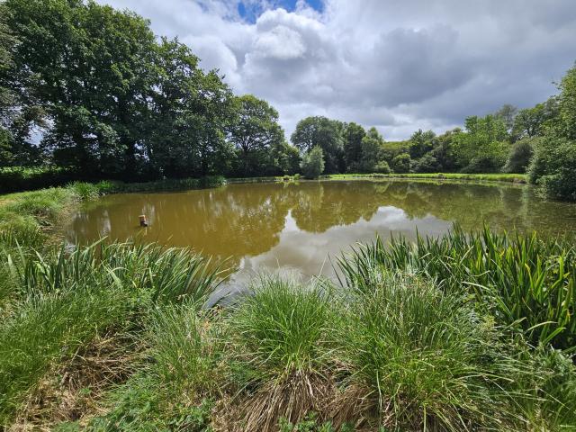 TERRAIN DE LOISIRS AVEC ETANG NATUREL