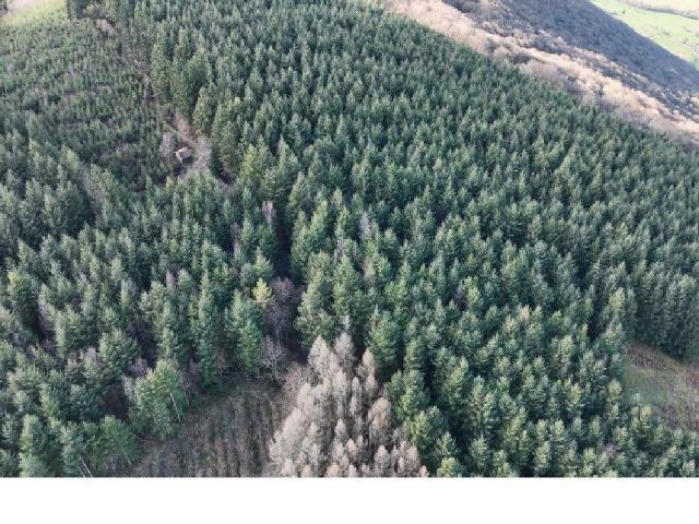 Terrain de loisirs bois Etang à vendre à Mesvres 71190