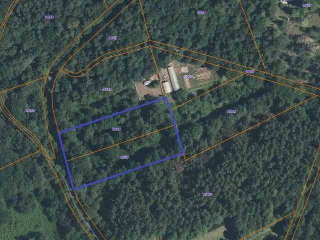 Terrain de loisirs bois Etang à vendre à Monteneuf 56380
