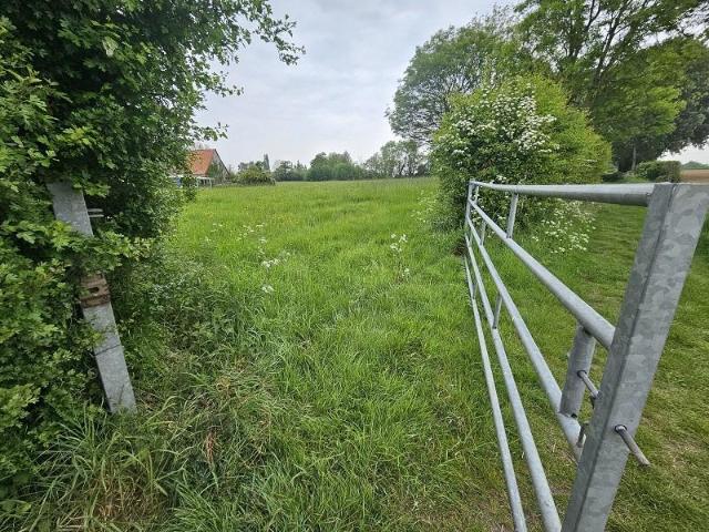 Terrain de loisirs bois Etang à vendre à Oudezeele 59670