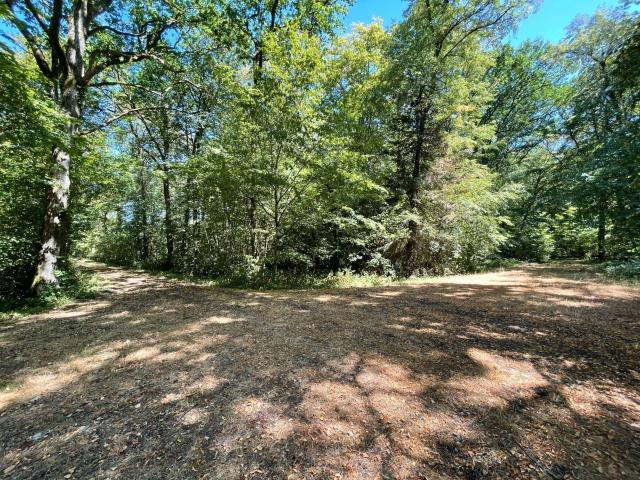 Terrain de loisirs bois Etang à vendre à Alençon 61000