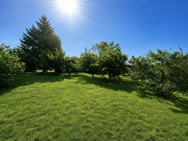 Terrain de loisirs bois Etang à vendre à Allonnes 72700