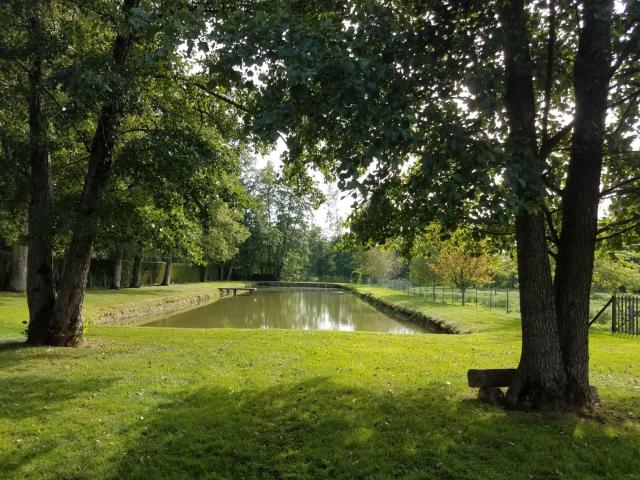 Terrain de loisirs bois Etang à vendre à Argenvilliers 28480