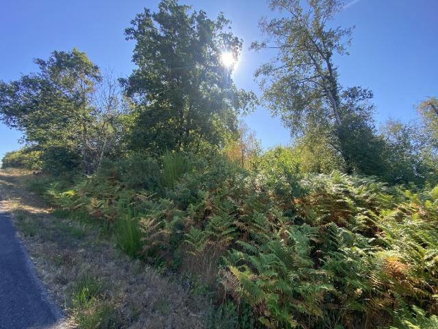 Terrain de loisirs bois Etang à vendre à Billio 56420