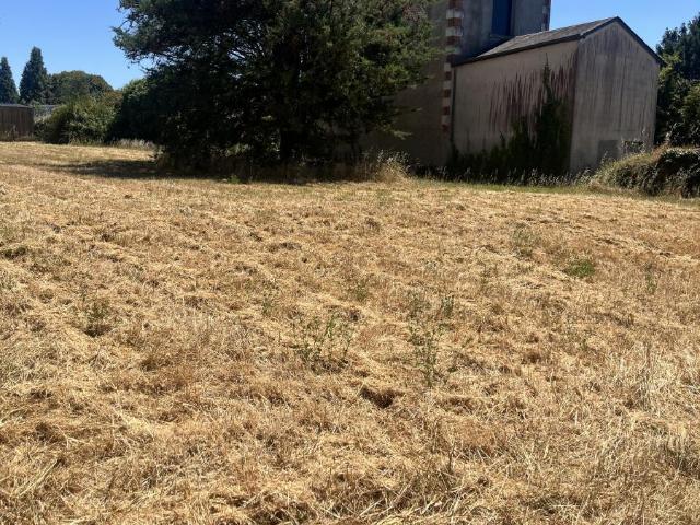 Terrain de loisirs bois Etang à vendre à Chinon 37500