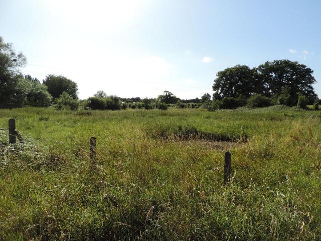 Terrain de loisirs bois Etang à vendre à Évron 53600