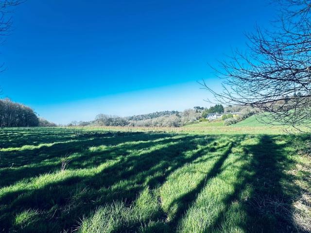 Terrain de loisirs bois Etang à vendre à Guilligomarc'h 29300