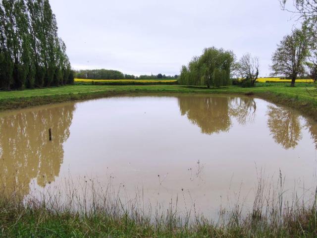 Terrain de loisirs bois Etang à vendre à Genouilly 18310