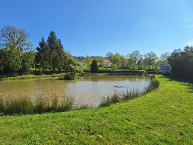Terrain de loisirs bois Etang à vendre à Juvigné 53380