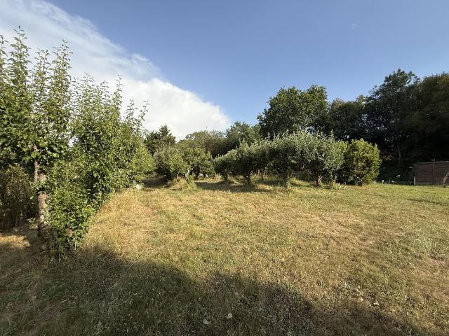 Terrain de loisirs bois Etang à vendre à La Chaize Giraud 85220