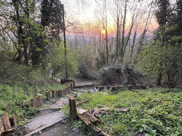 Terrain de loisirs bois Etang à vendre à Laon 02000